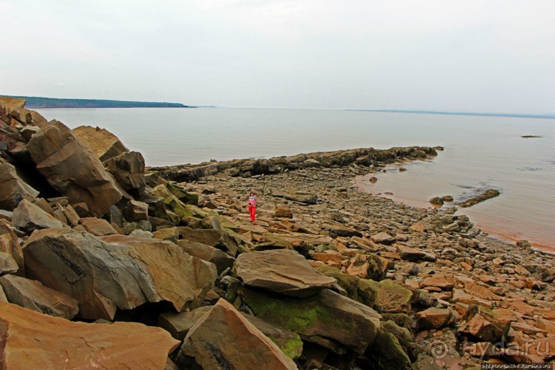 Скалы Джоггинс — прогулка в поисках ископаемых реликтов