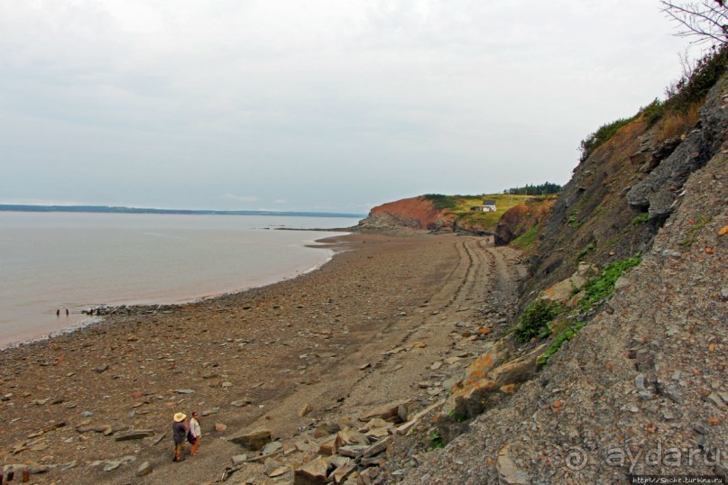 Скалы Джоггинс — прогулка в поисках ископаемых реликтов