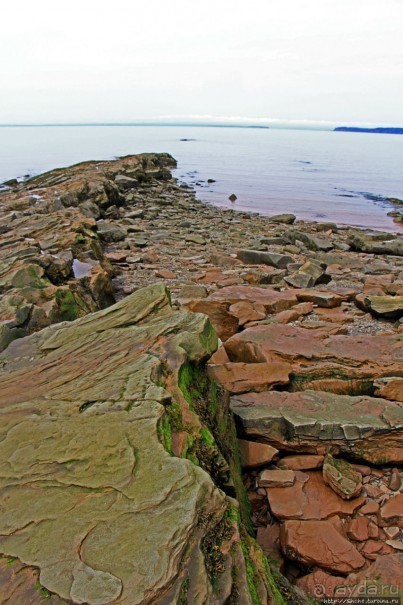 Скалы Джоггинс — прогулка в поисках ископаемых реликтов