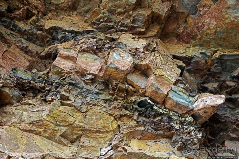 Скалы Джоггинс — прогулка в поисках ископаемых реликтов