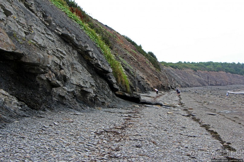 Скалы Джоггинс — прогулка в поисках ископаемых реликтов