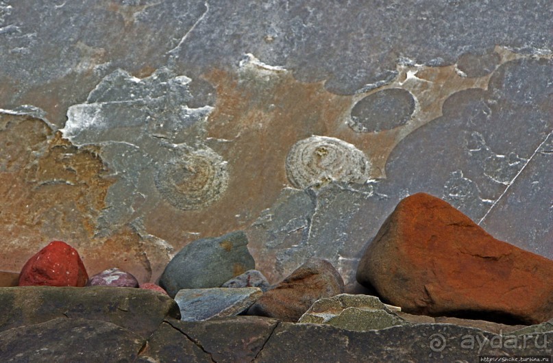 Скалы Джоггинс — прогулка в поисках ископаемых реликтов