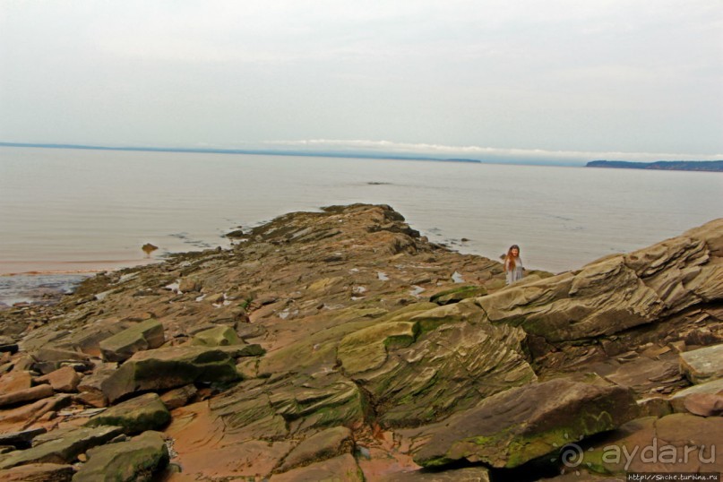 Скалы Джоггинс — прогулка в поисках ископаемых реликтов