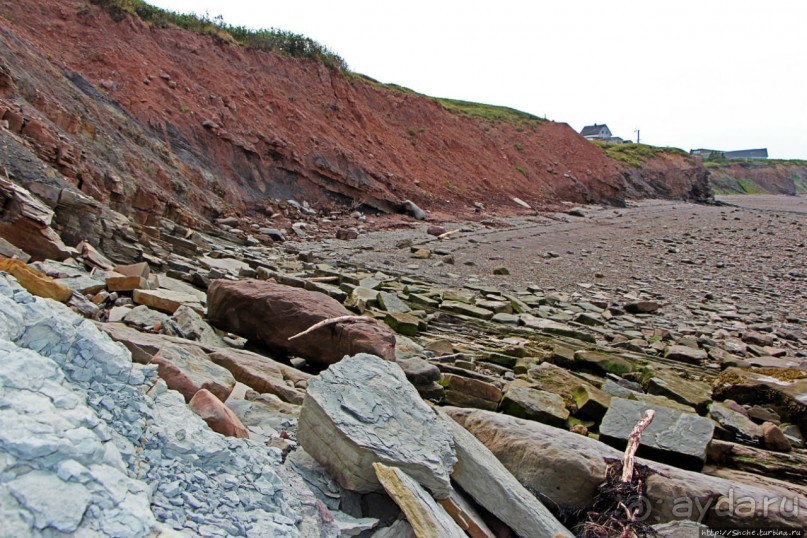 Скалы Джоггинс — прогулка в поисках ископаемых реликтов