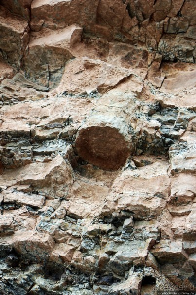 Скалы Джоггинс — прогулка в поисках ископаемых реликтов