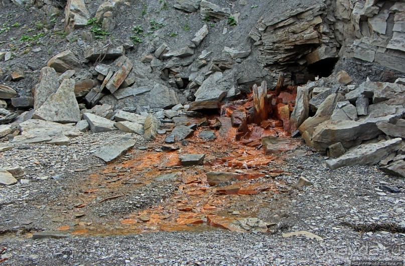 Скалы Джоггинс — прогулка в поисках ископаемых реликтов