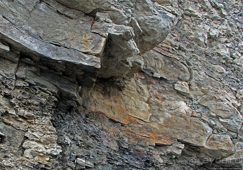 Скалы Джоггинс — прогулка в поисках ископаемых реликтов