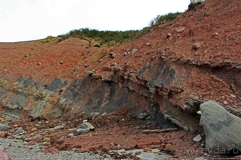 Скалы Джоггинс — прогулка в поисках ископаемых реликтов