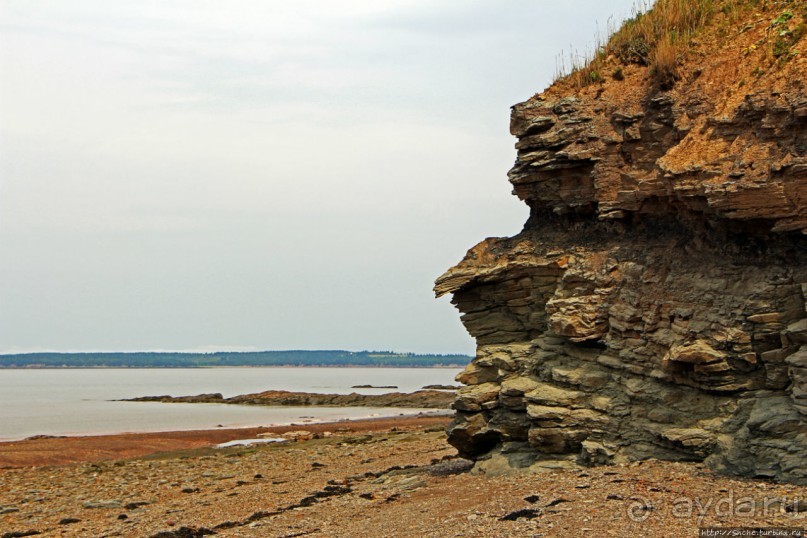 Скалы Джоггинс — прогулка в поисках ископаемых реликтов