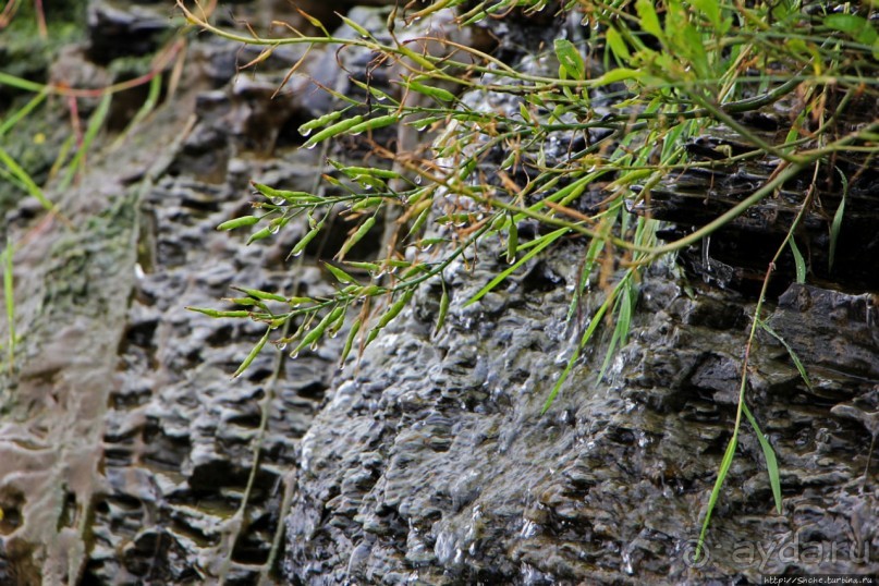 Скалы Джоггинс — прогулка в поисках ископаемых реликтов