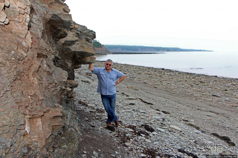 Скалы Джоггинс — прогулка в поисках ископаемых реликтов