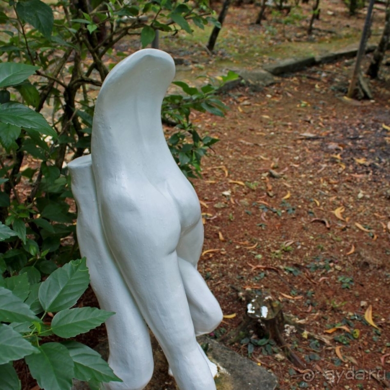 21+. Сад "Земля любви"