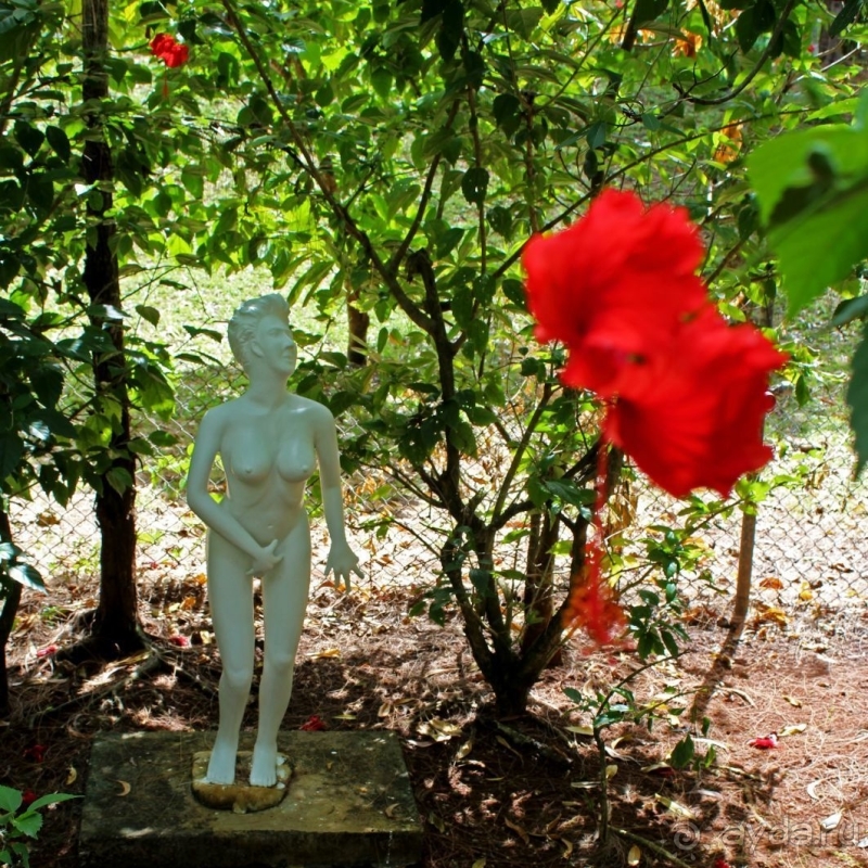 21+. Сад "Земля любви"