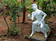 21+. Сад "Земля любви"