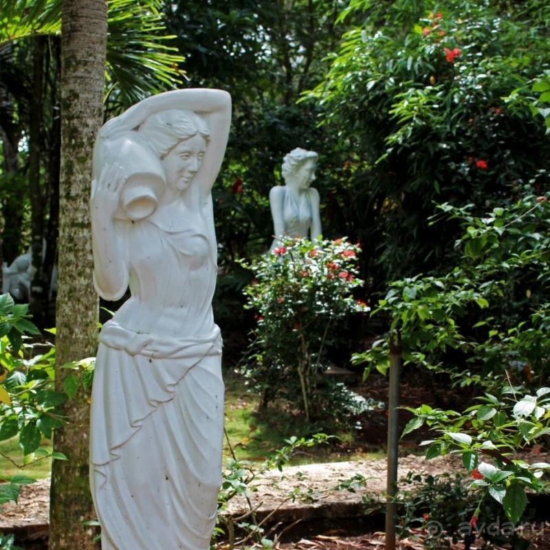 21+. Сад "Земля любви"