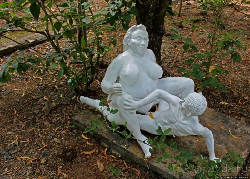 21+. Сад "Земля любви"