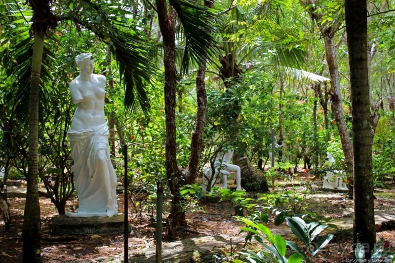 21+. Сад "Земля любви"