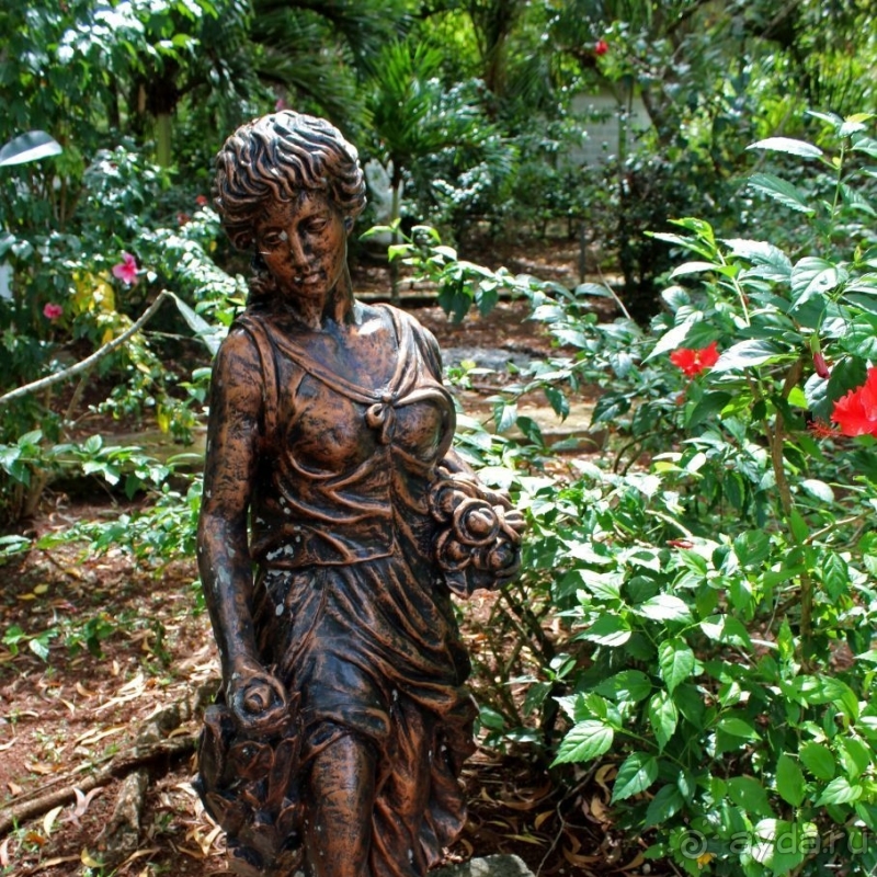 21+. Сад "Земля любви"