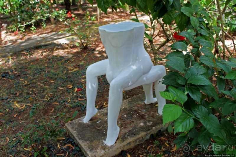 21+. Сад "Земля любви"