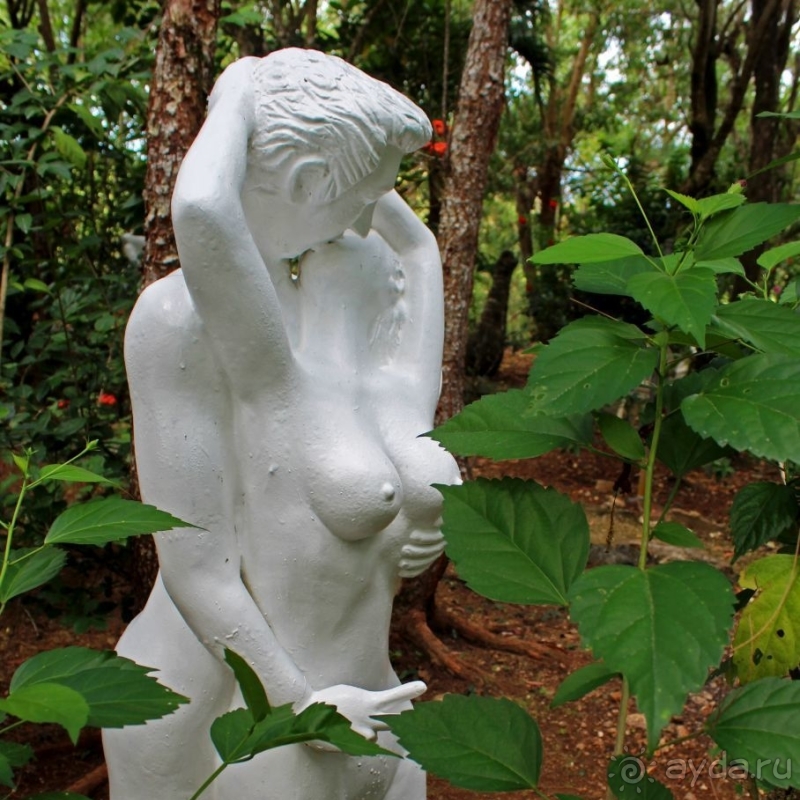 21+. Сад "Земля любви"