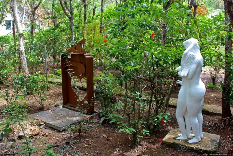 21+. Сад "Земля любви"