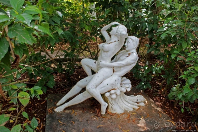 21+. Сад "Земля любви"