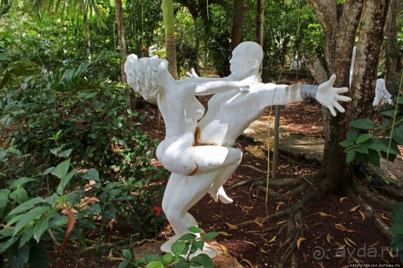 21+. Сад "Земля любви"