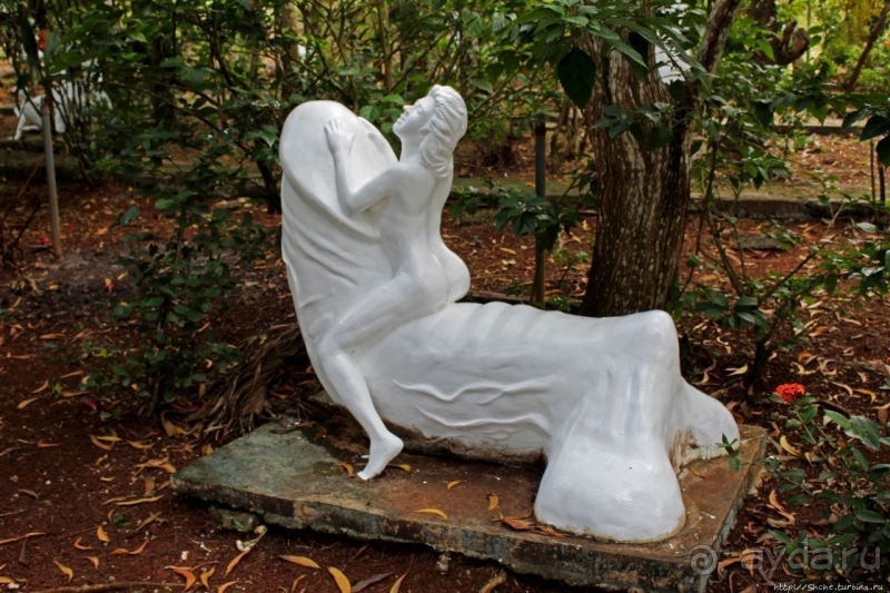 21+. Сад "Земля любви"