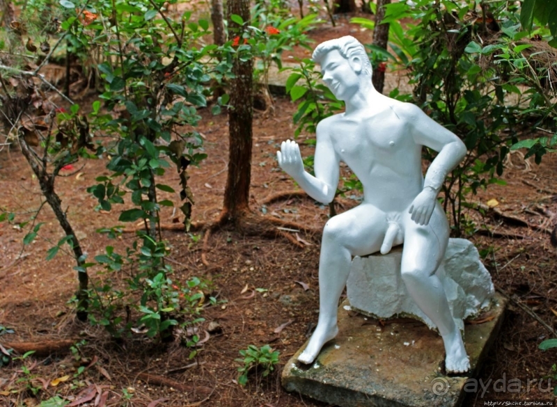 21+. Сад "Земля любви"