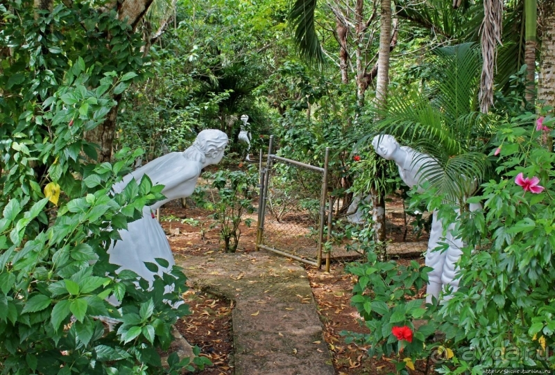 21+. Сад "Земля любви"