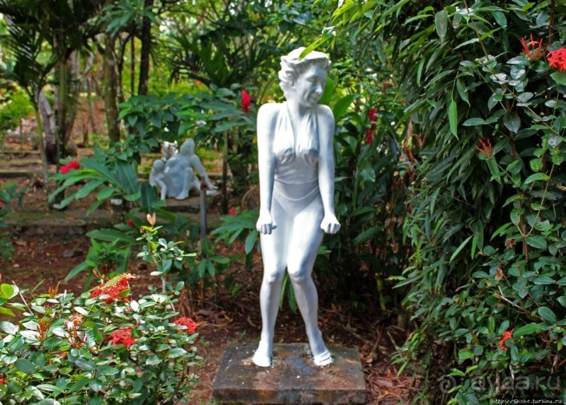 21+. Сад "Земля любви"