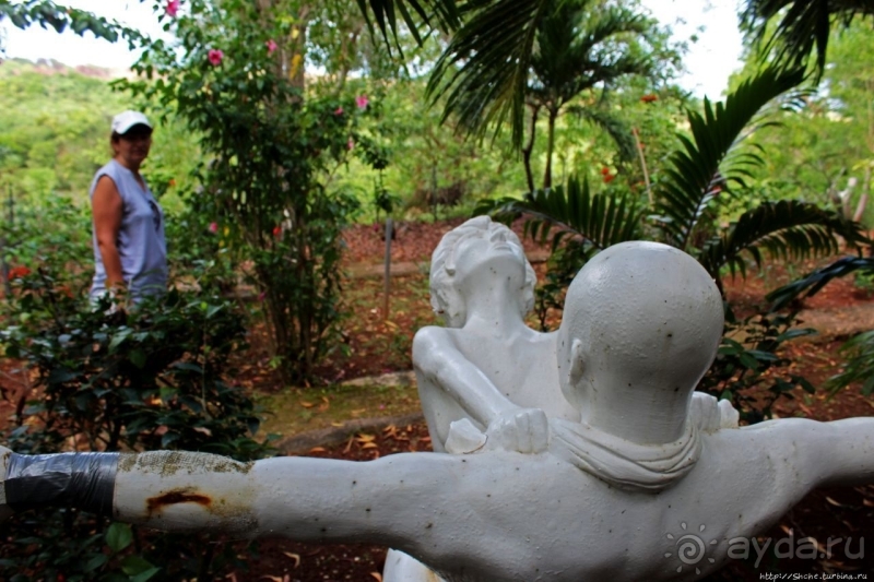 21+. Сад "Земля любви"