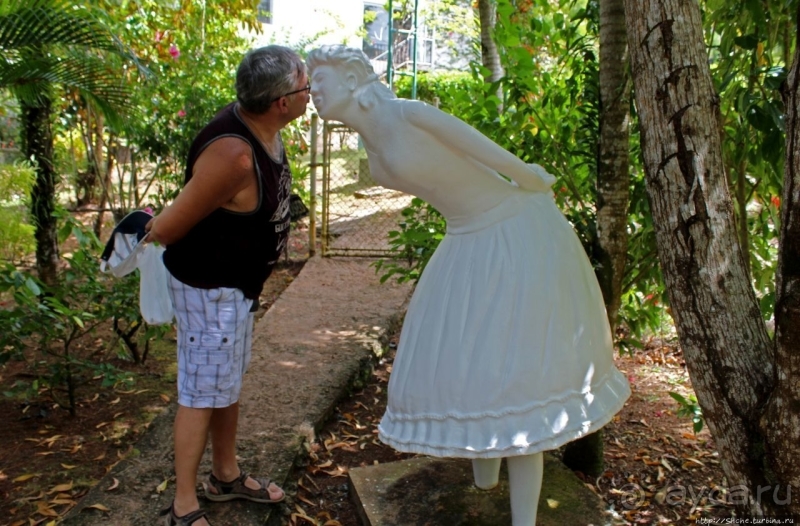 21+. Сад "Земля любви"