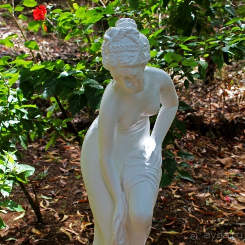 21+. Сад "Земля любви"