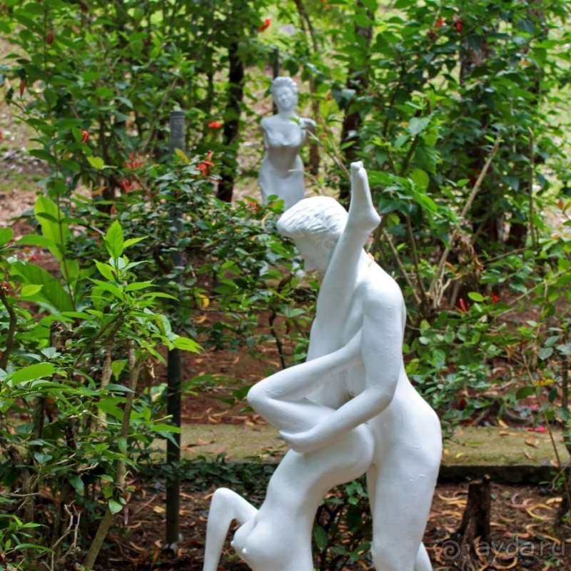 21+. Сад "Земля любви"