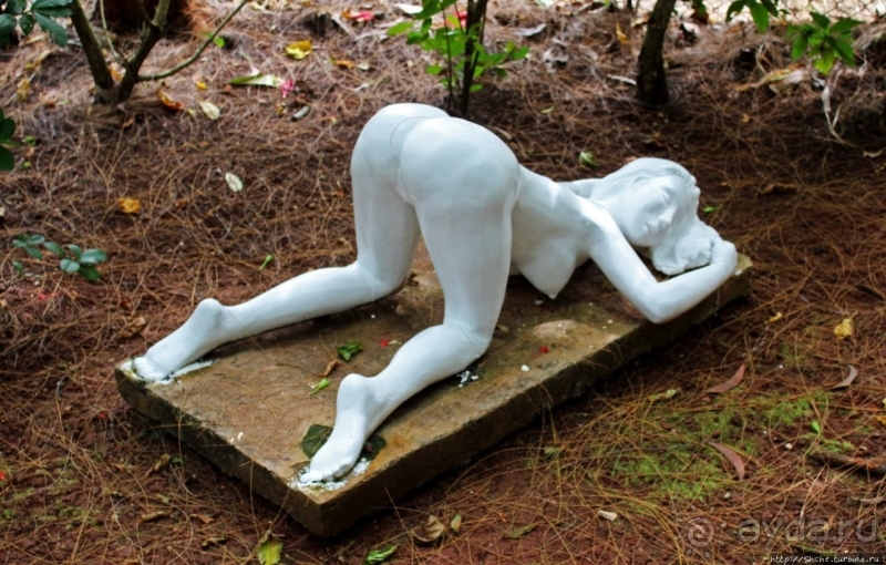 21+. Сад "Земля любви"