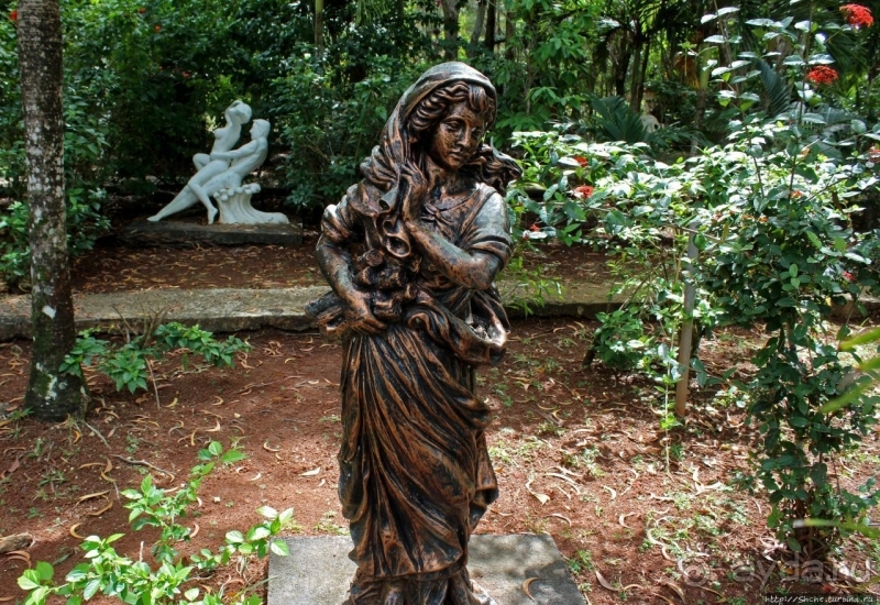 21+. Сад "Земля любви"