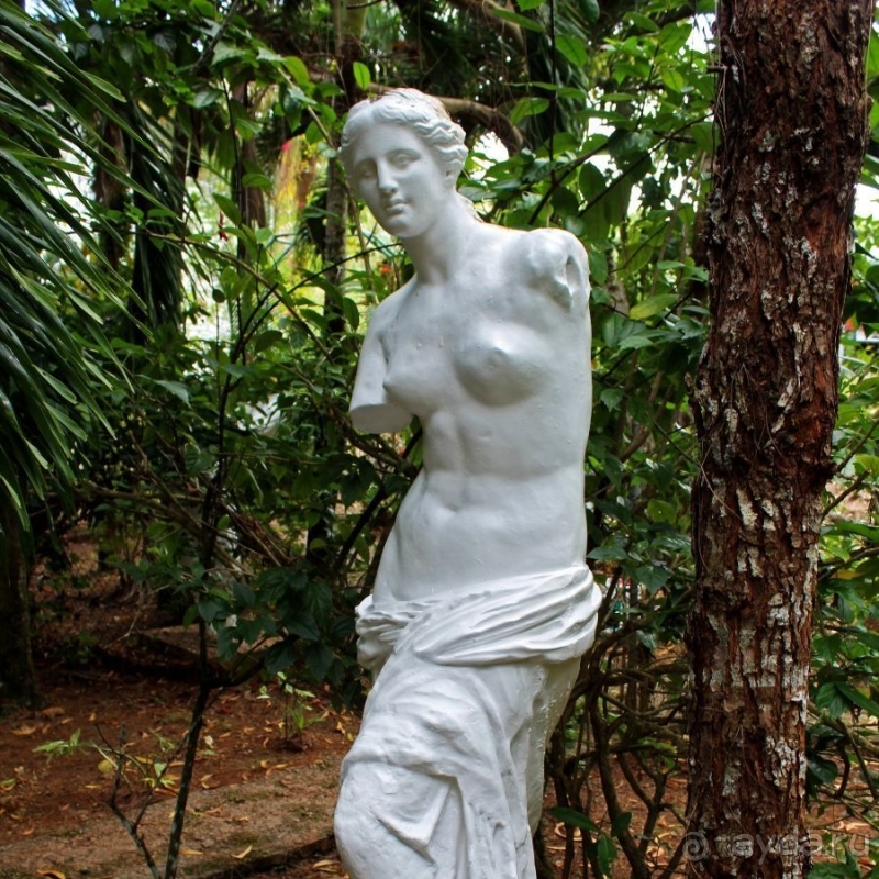 21+. Сад "Земля любви"