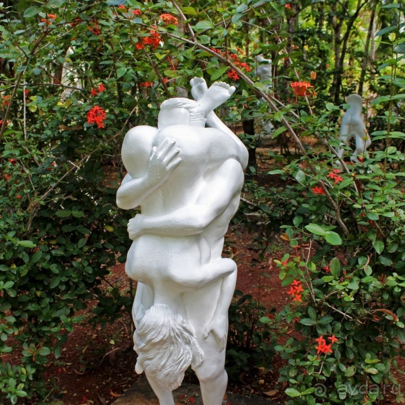 21+. Сад "Земля любви"