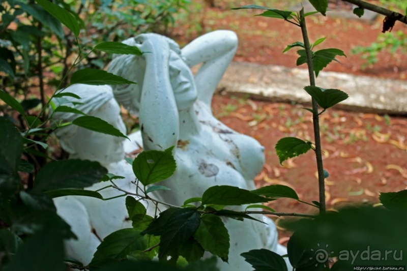 21+. Сад "Земля любви"