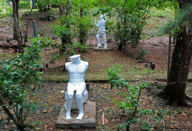 21+. Сад "Земля любви"