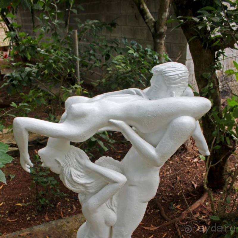 21+. Сад "Земля любви"