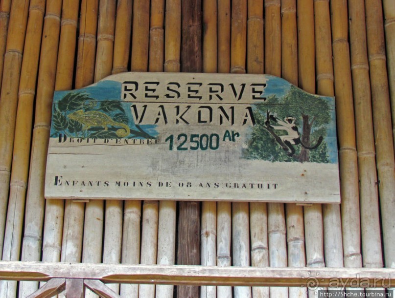 5 причин посетить "Vakona forest lodge"