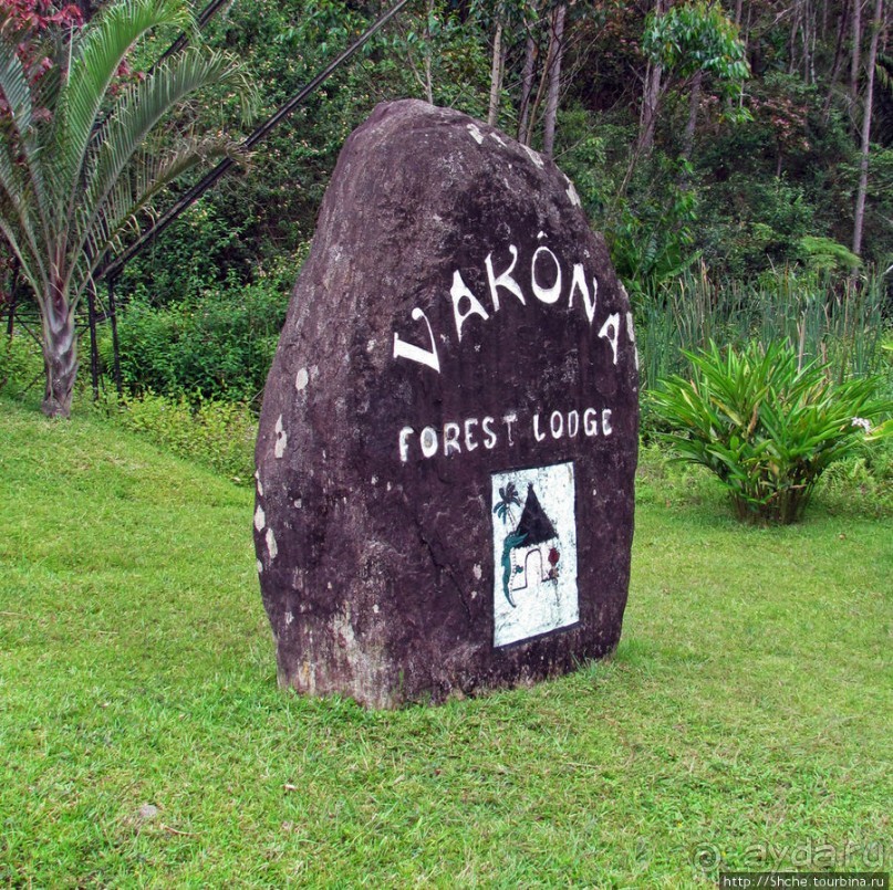 5 причин посетить "Vakona forest lodge"