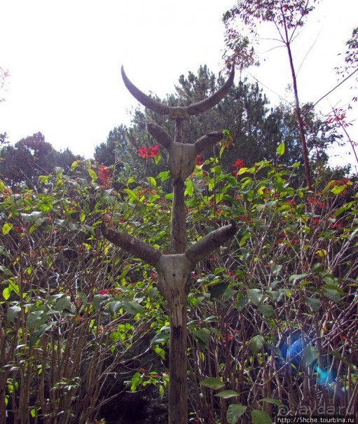 5 причин посетить "Vakona forest lodge"