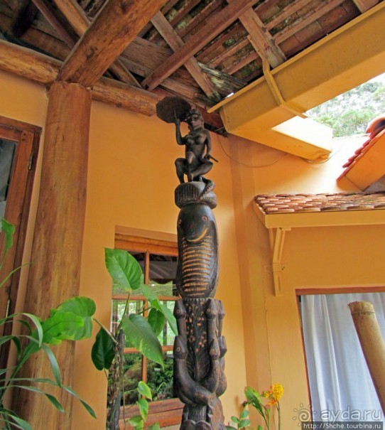 5 причин посетить "Vakona forest lodge"