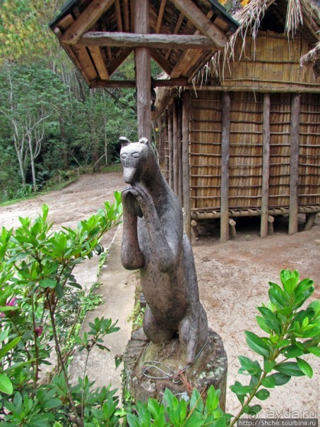 5 причин посетить "Vakona forest lodge"