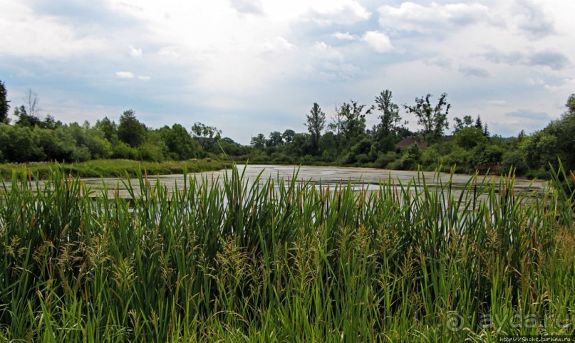 Деревянные церкви Карпат... Потелич (объект ЮНЕСКО 1424-8)