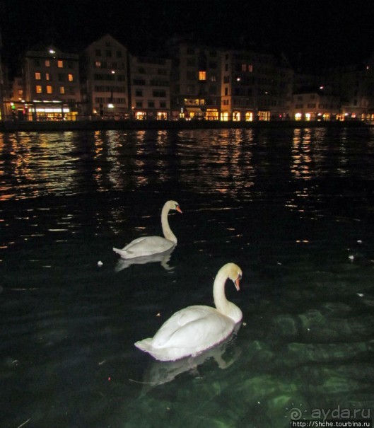 Прогулка по ночному Цюриху. Привязка к местности