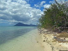 Специальный остров для барбекю
